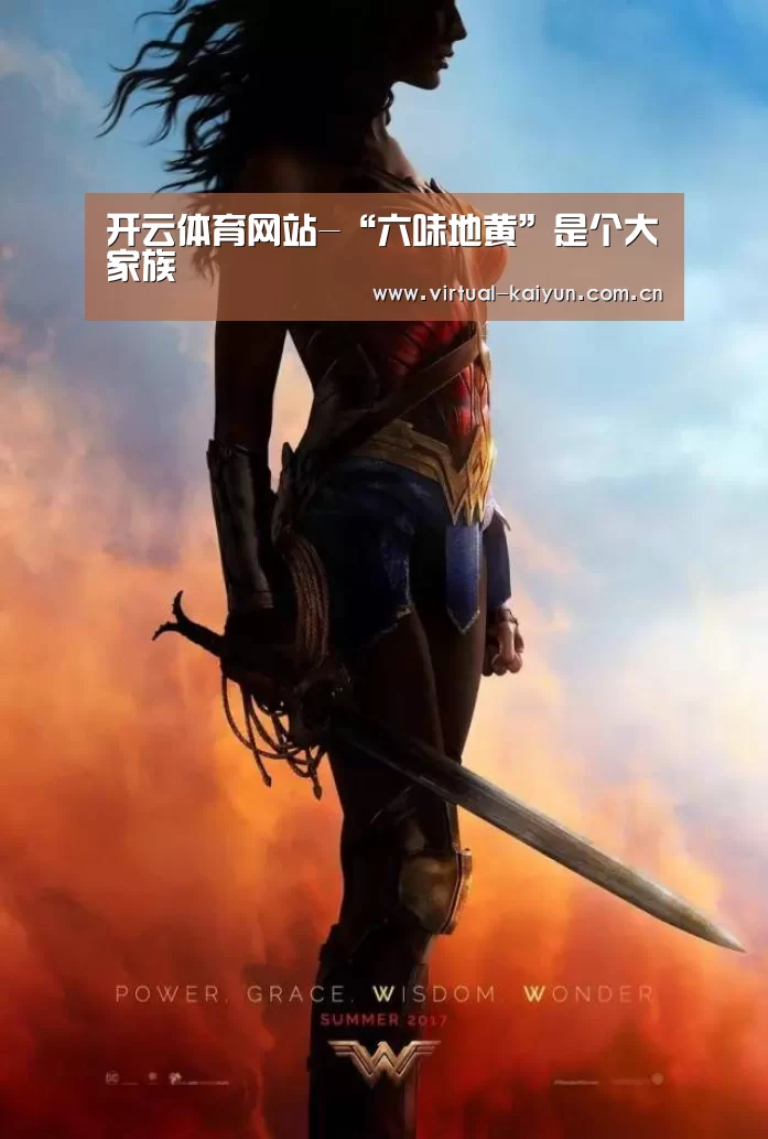 开云体育网站-“六味地黄”是个大家族
