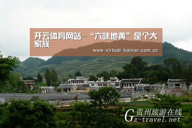 开云体育网站-“六味地黄”是个大家族(图4) 开云体育官网