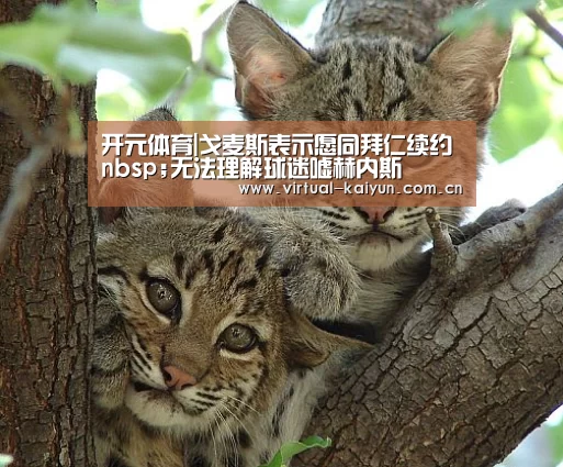 开元体育