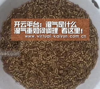 开云平台:湿气是什么 湿气重如何调理 看这里!(图1) 开云平台