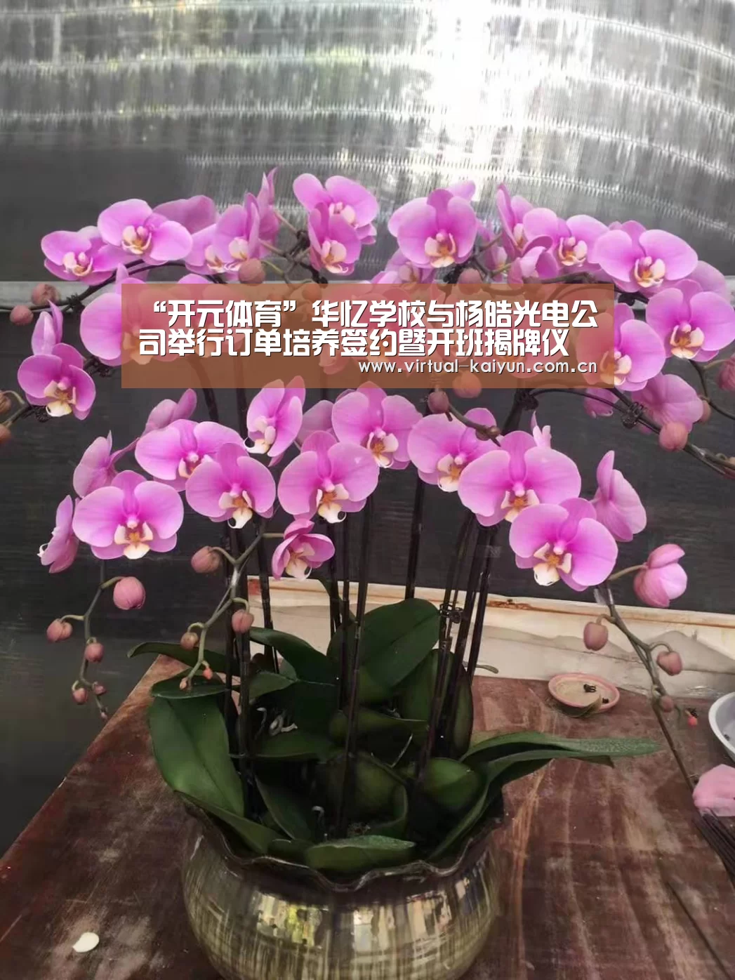 “开元体育”华忆学校与杨皓光电公司举行订单培养签约暨开班揭牌仪式(图1) 开云体育网站