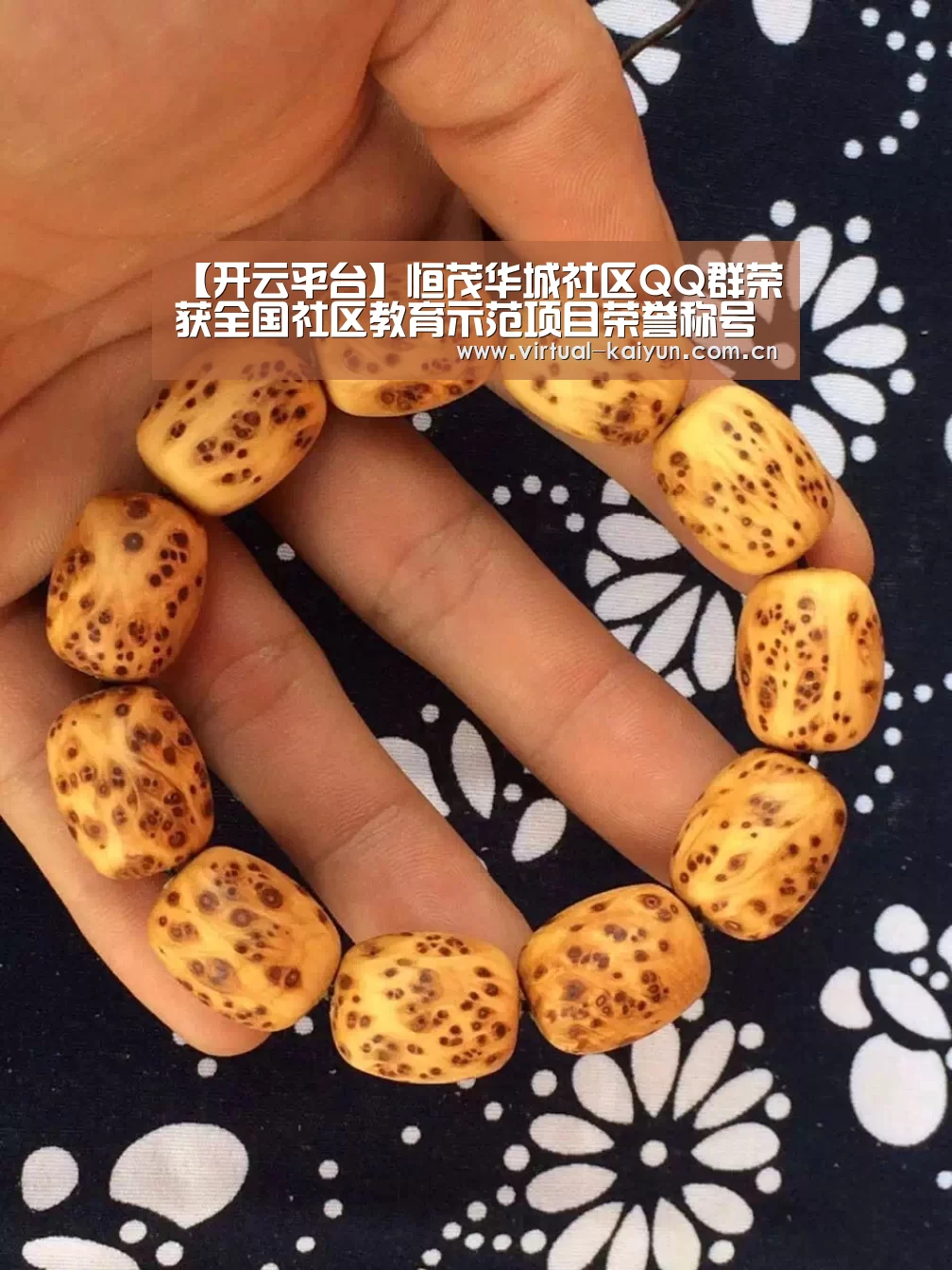 开云体育网站