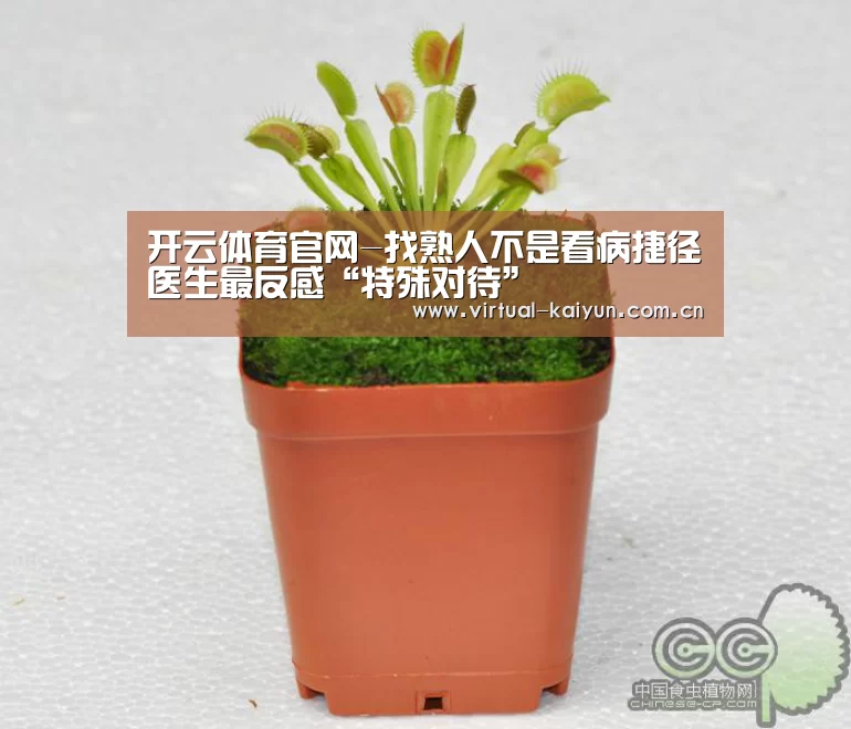 开元体育