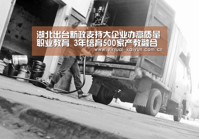 湖北出台新政支持大企业办高质量职业教育 3年培育500家产教融合型企业_开云体育网站(图2) 开元体育