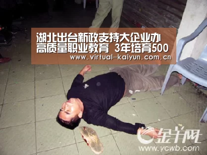 湖北出台新政支持大企业办高质量职业教育 3年培育500家产教融合型企业_开云体育网站(图4) 开云体育官网