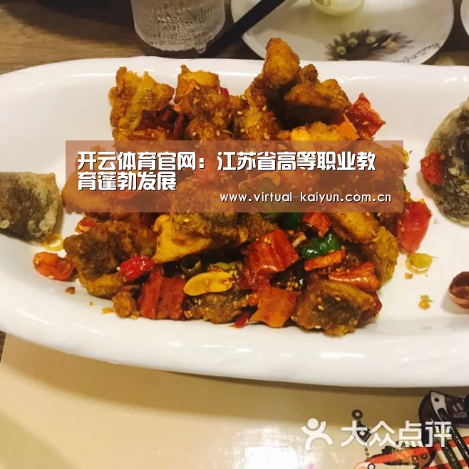 开云体育官网:江苏省高等职业教育蓬勃发展(图2) 开元体育